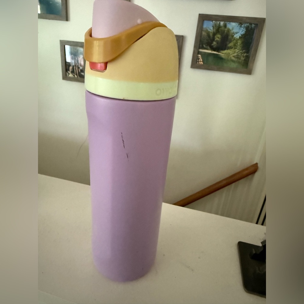 Owala water bottle